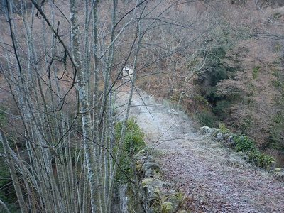 Tramontina 2