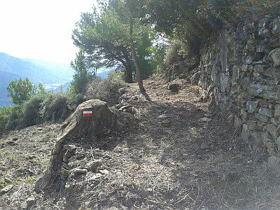 Tramontina 2