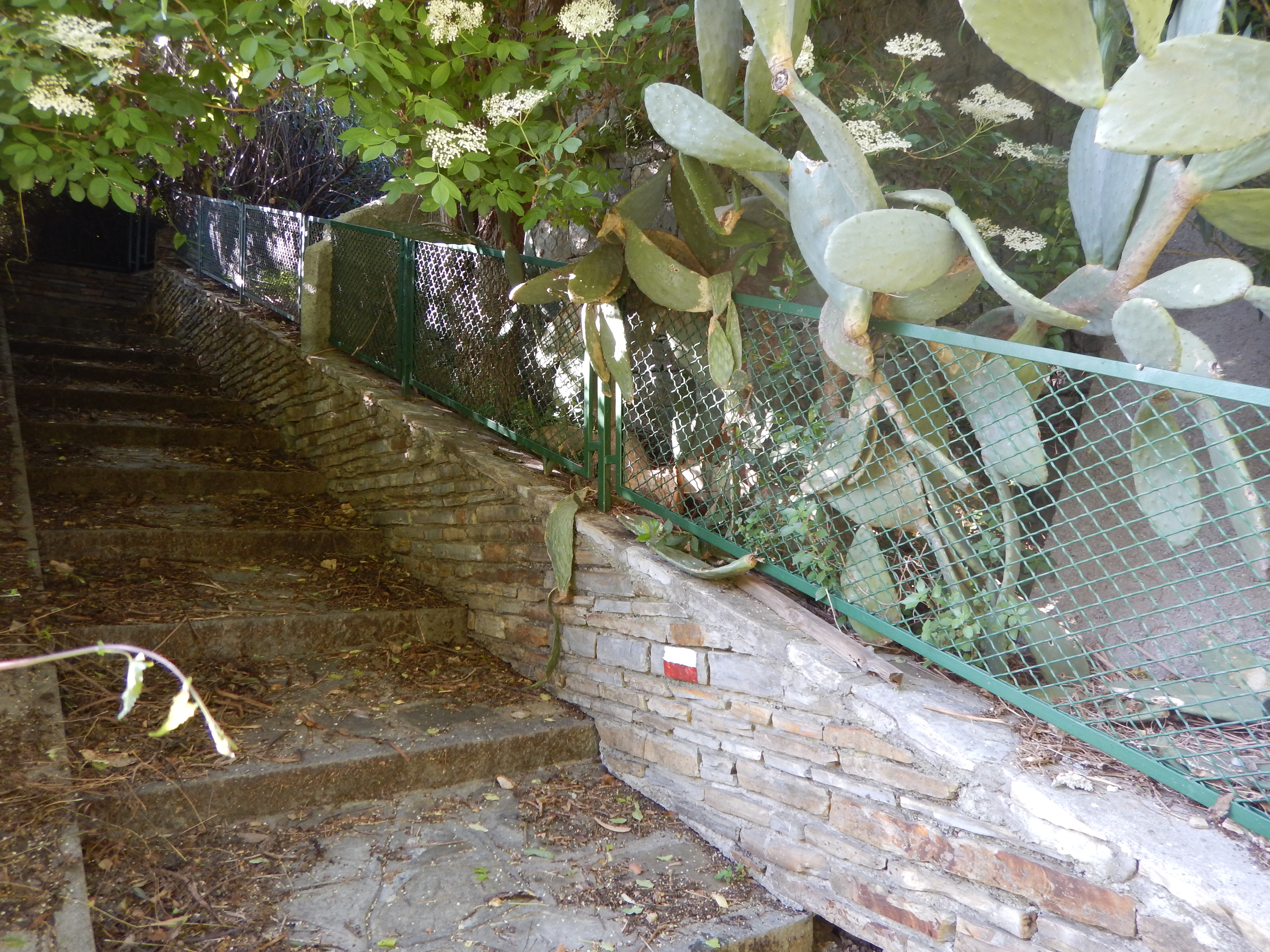 Ca1