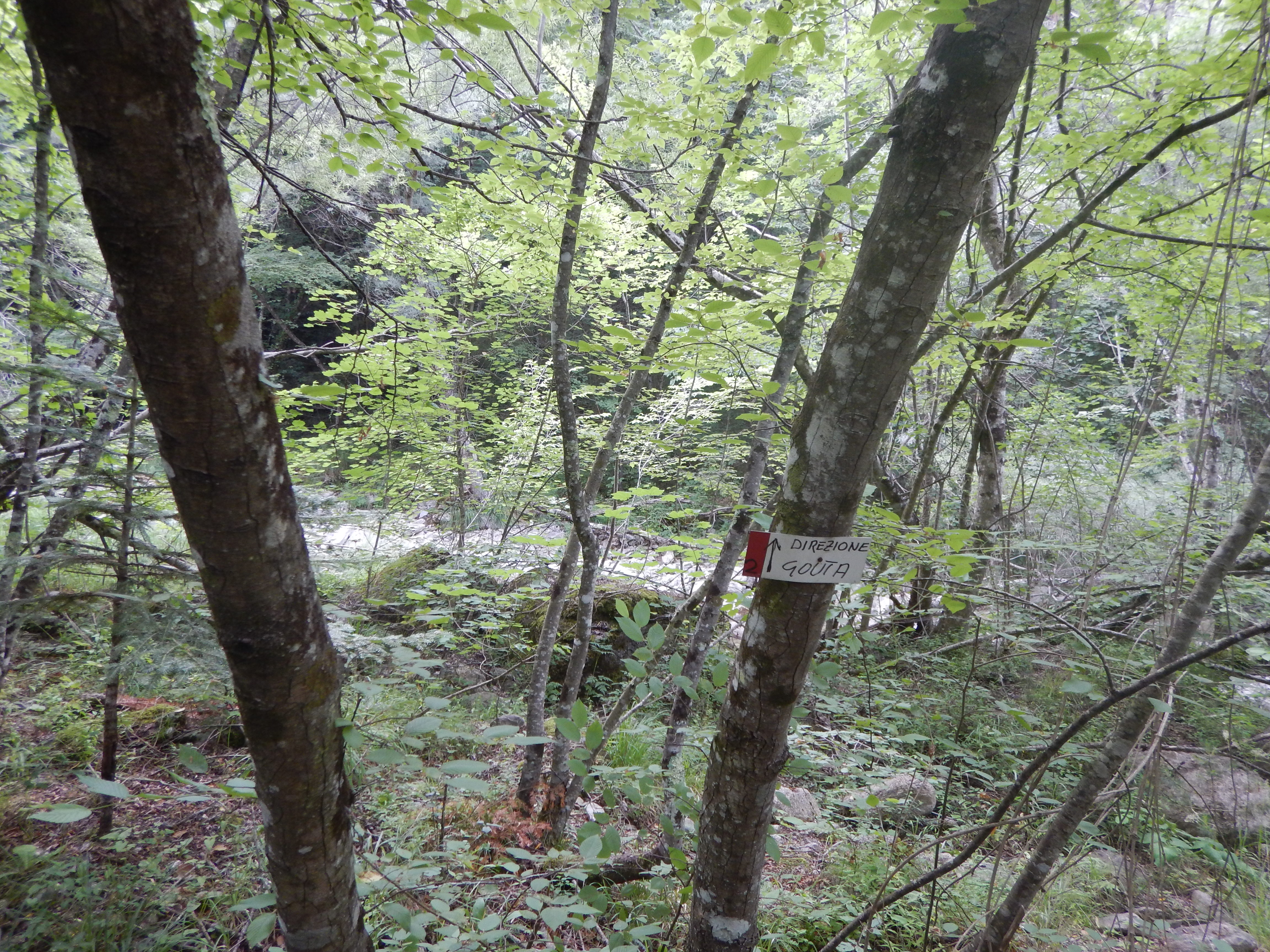 Fontanalba