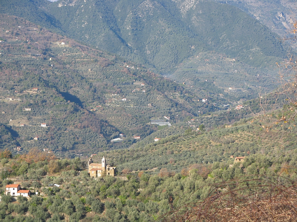 VAllauretta